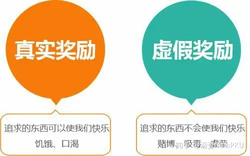 ADAMS2024下载安装全流程